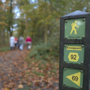 Herfstwandeling