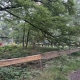 vierseizoenenwandeling